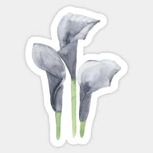 Black Calla Lily Sticker